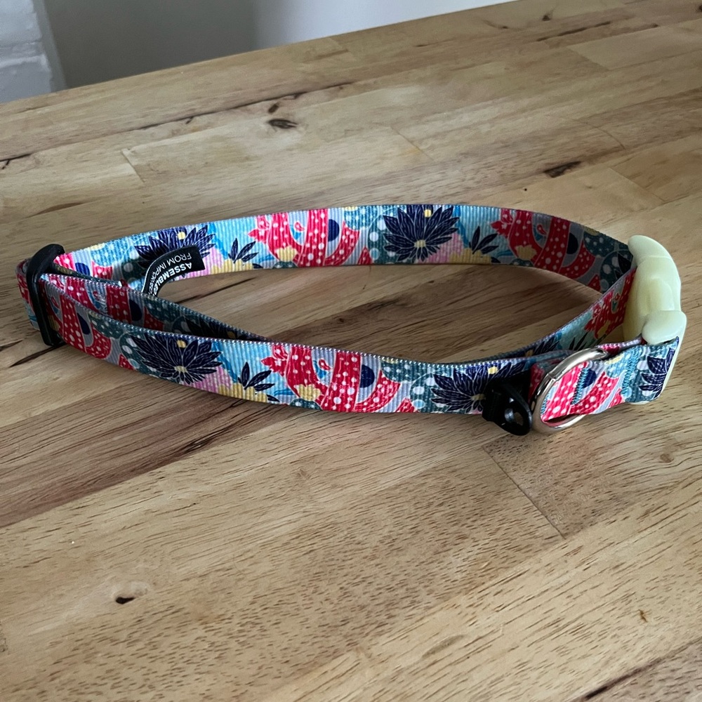 Custom Chaco Dog Collar